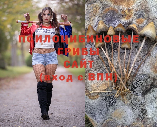 spice Абинск