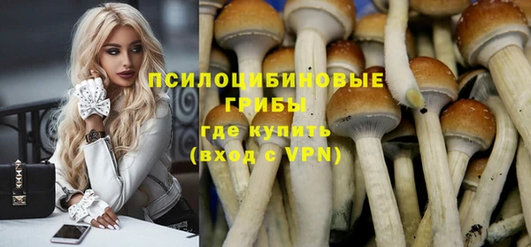 дмт Алзамай