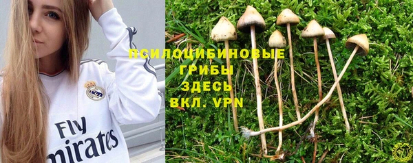 первитин Абдулино