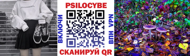 даркнет сайт  Цимлянск  Галлюциногенные грибы MAGIC MUSHROOMS 